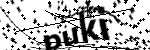 Captcha text