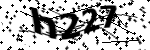 Captcha text